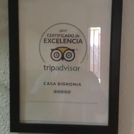 Casa Bignonia *