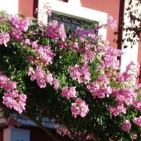 Casa Bignonia Holiday home Salteras